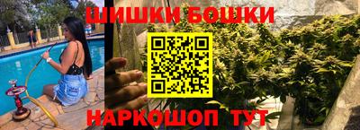индика Краснознаменск