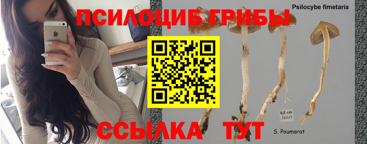 Псилоцибиновые грибы MAGIC MUSHROOMS  Вход с VPN  Заводоуковск 